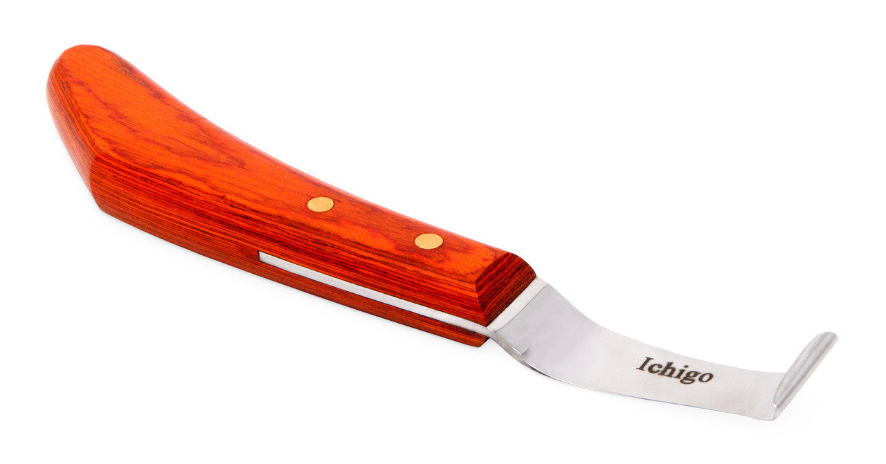 Ichigo knife with pick