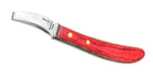 Bassoli Becca loop knife  that consists of Japanese steel and a laminated handle