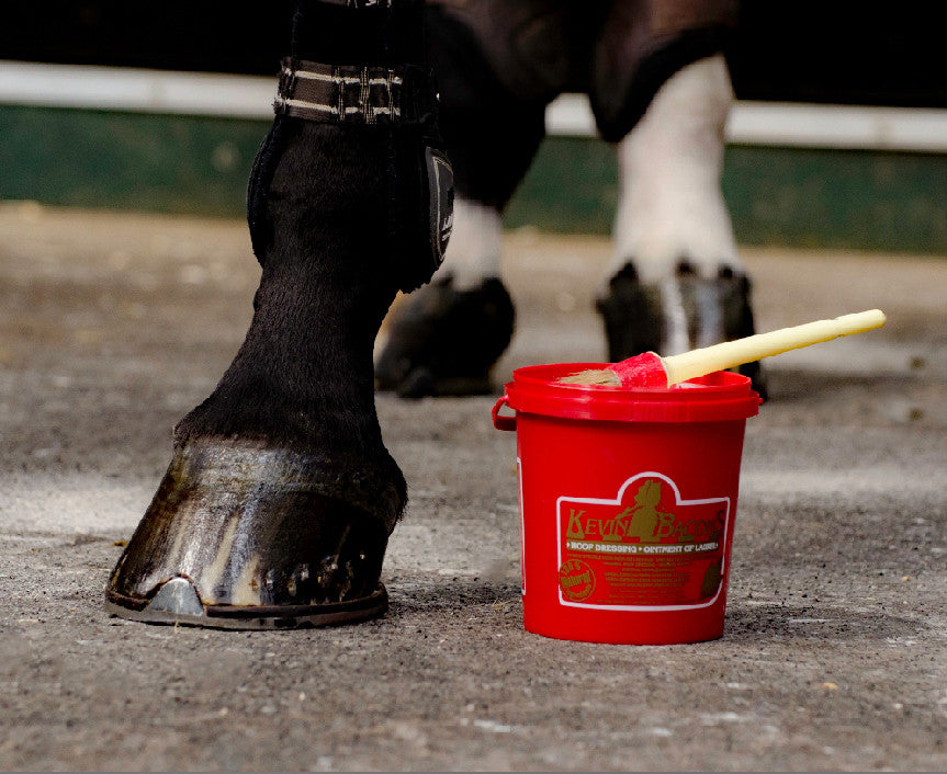 Kevin Bacon's Naturel Hoof Dressing for healthy, supple hooves