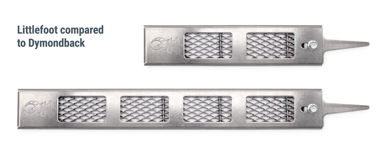 Littlefoot compared to Dymondback rasp