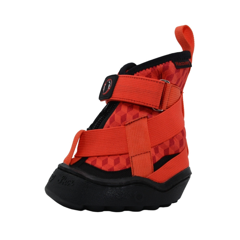 Equine Fusion Red Recovery Boots