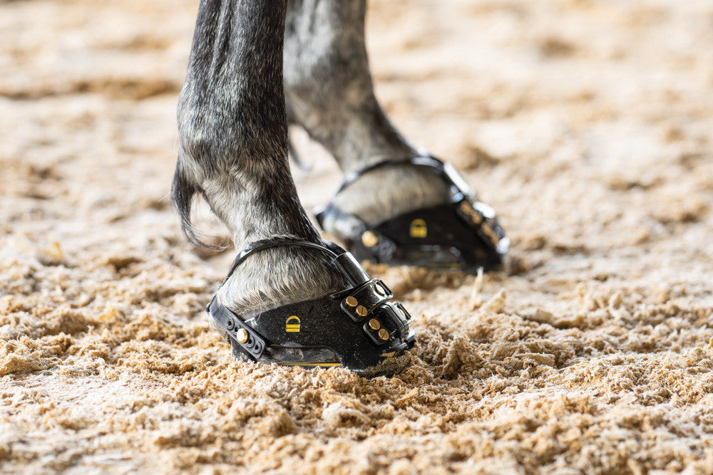 Scoot Boot Thera Ride