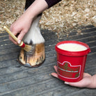 Kevin Bacon's Naturel Hoof Dressing Application