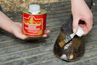 Kevin Bacon's 500mL Liquid Hoof Dressing Application