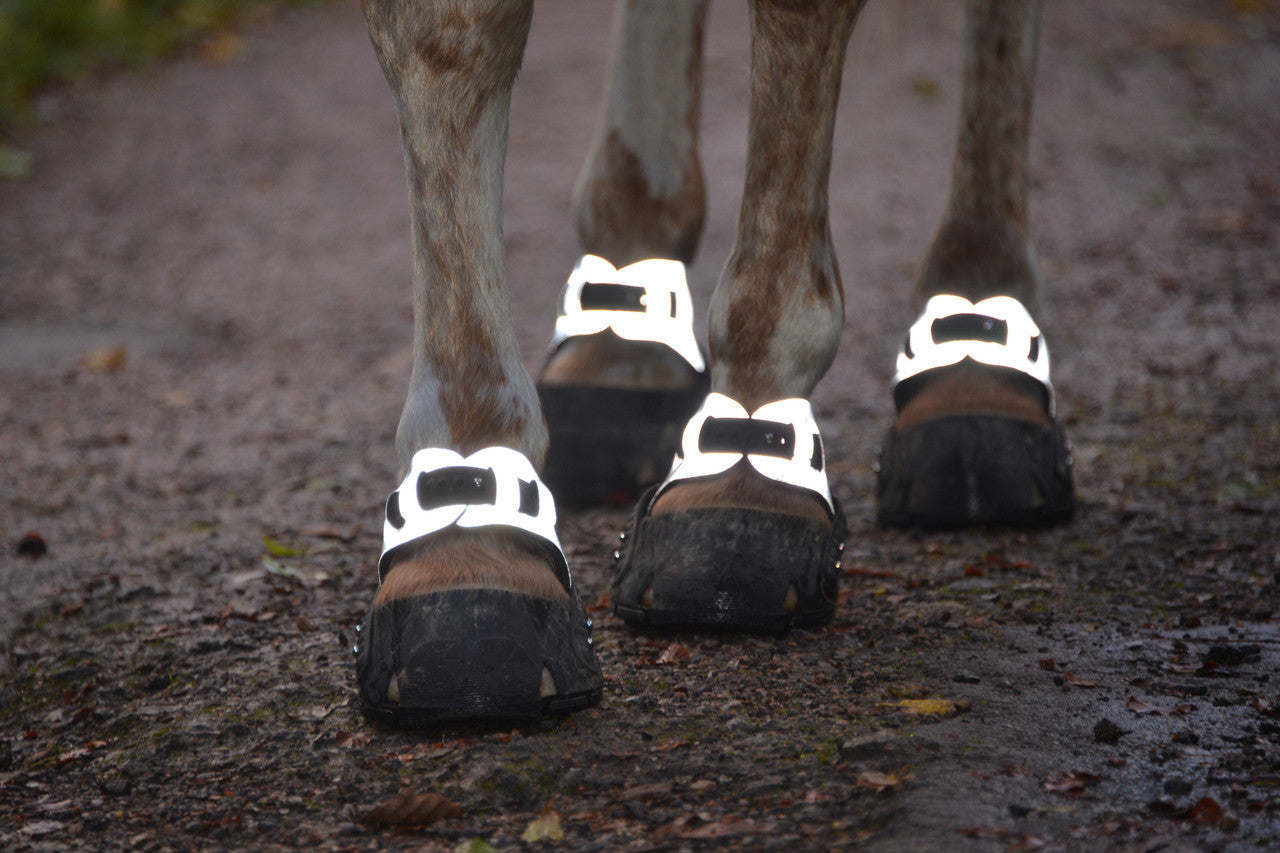 Reflective Gaiters in action