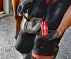 Kevin Bacons Hoof Solution being applied