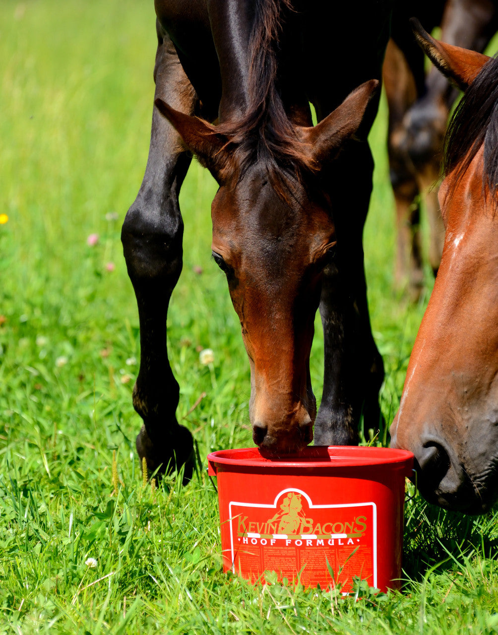 Kevin Bacon's Hoof Formula