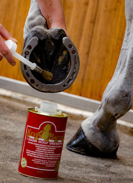 Kevin Bacon's 1L Liquid Hoof Dressing Application