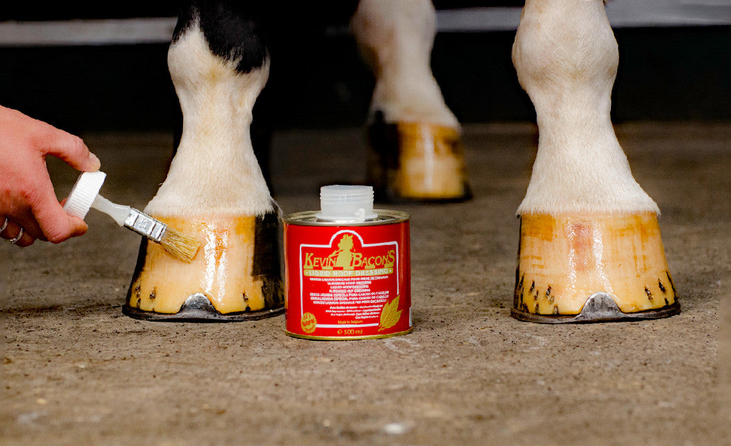 Kevin Bacon's Liquid Hoof Dressing Application