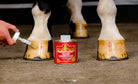 Kevin Bacon's Liquid Hoof Dressing Application