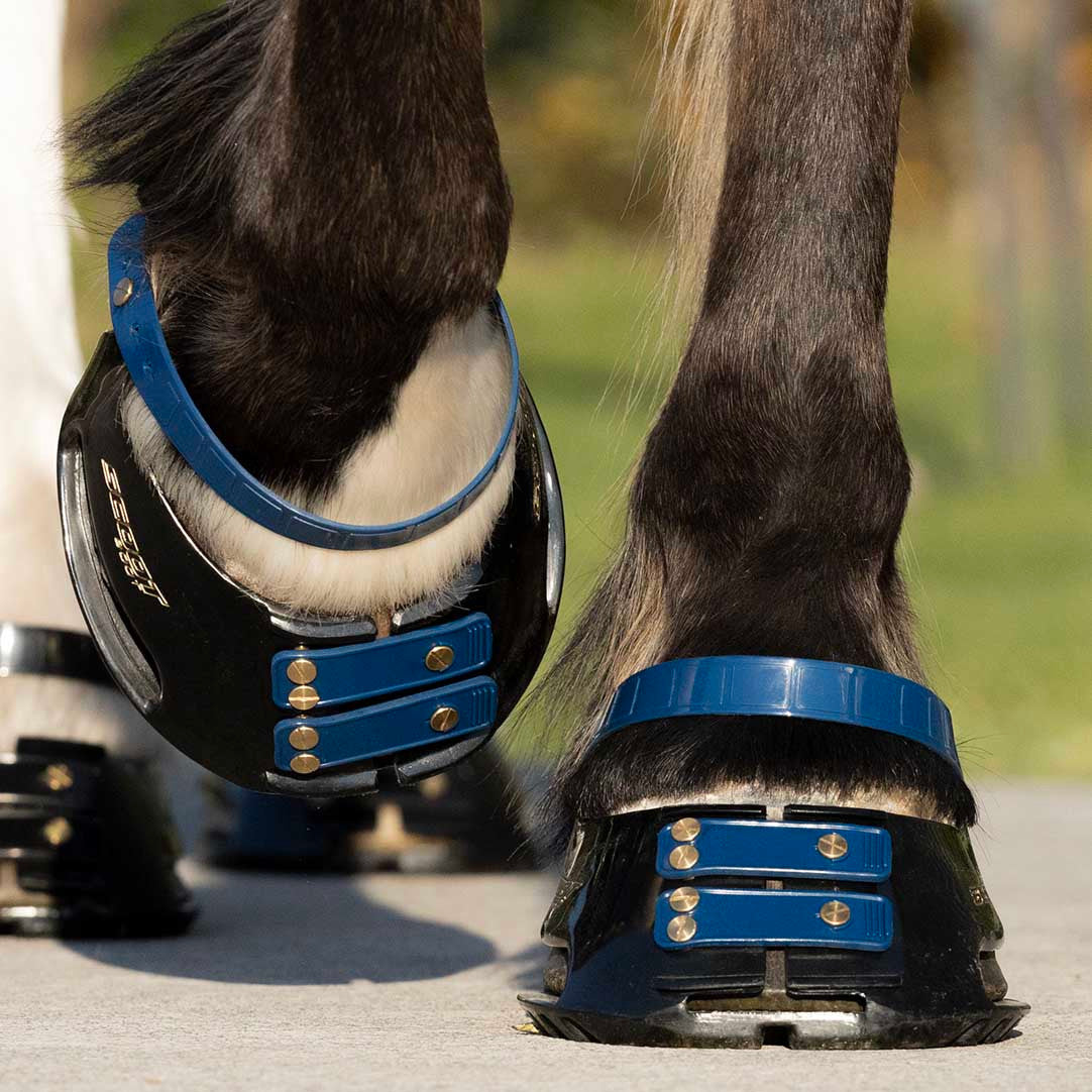 Scoot Boot Pastern Strap Navy