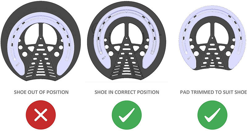 Pad position infographic