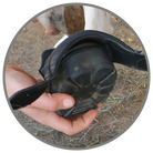 easy to put on and take off