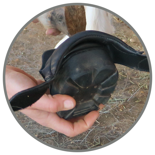 easy to put on and take off