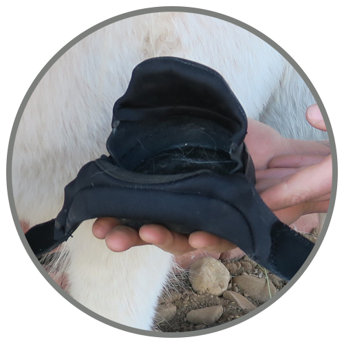 easycare hoof boot mini