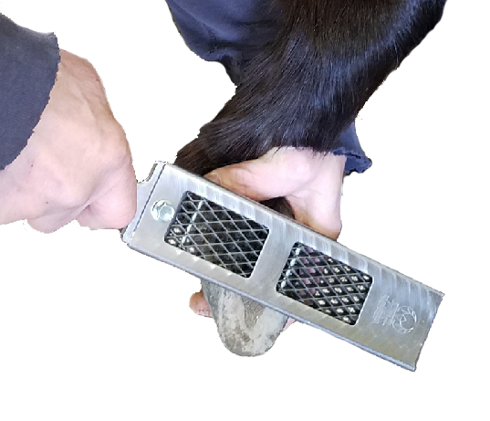 Cody James Dymondback Littlefoot Rasp in use