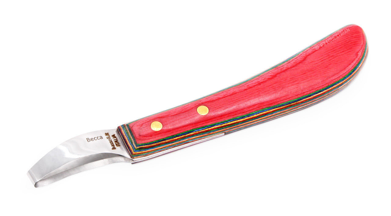 Bassoli Becca loop knife  that consists of Japanese steel and a laminated handle