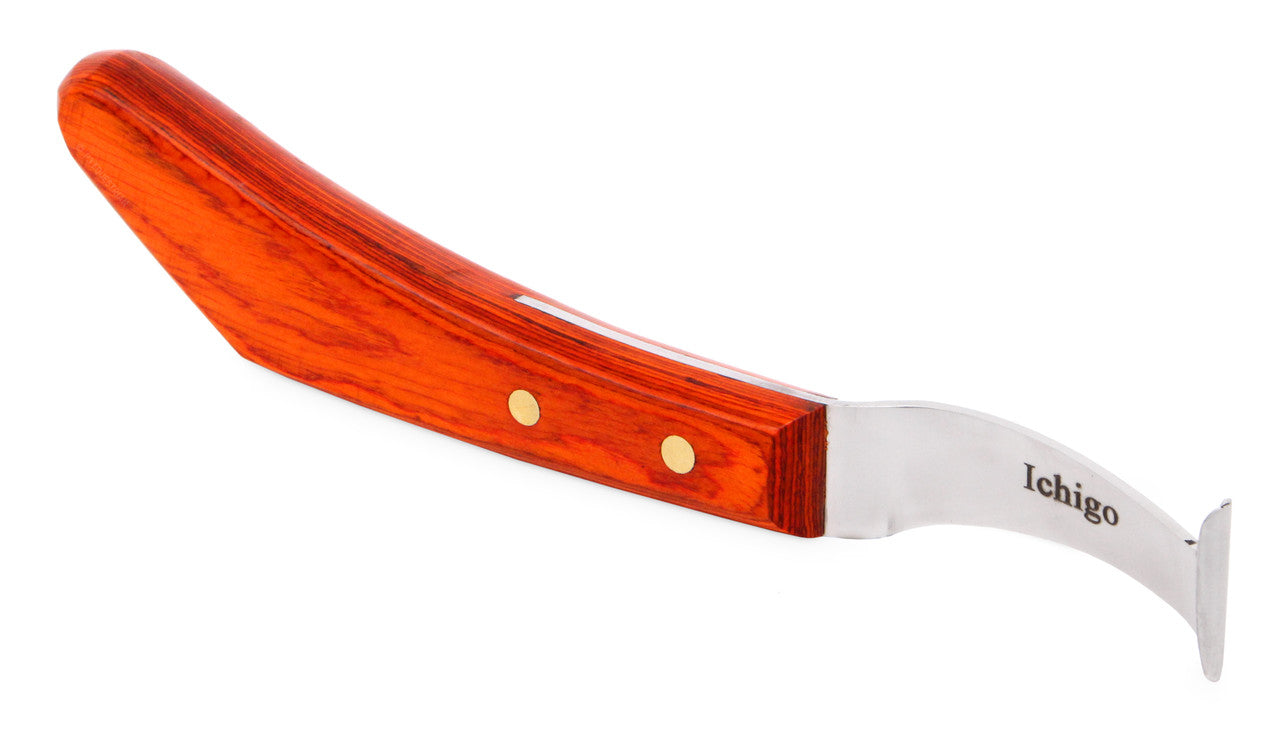 Ichigo knife with pick