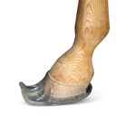 Toe extension