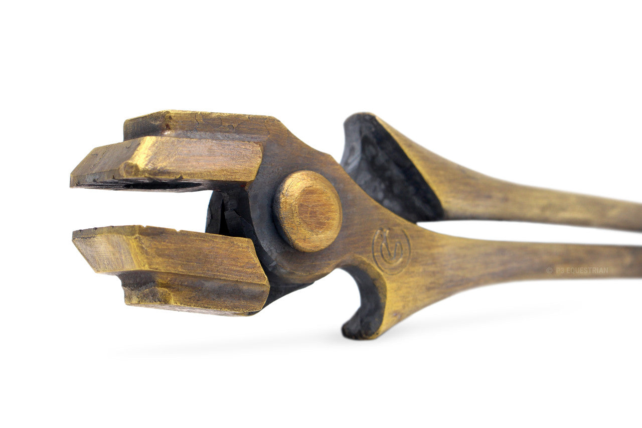 Cody Gregory Tongs