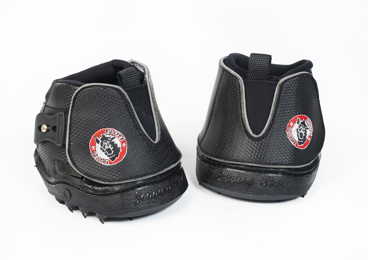 EF Active pair
