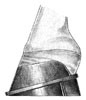 Dalric club foot correction foal shoe diagram
