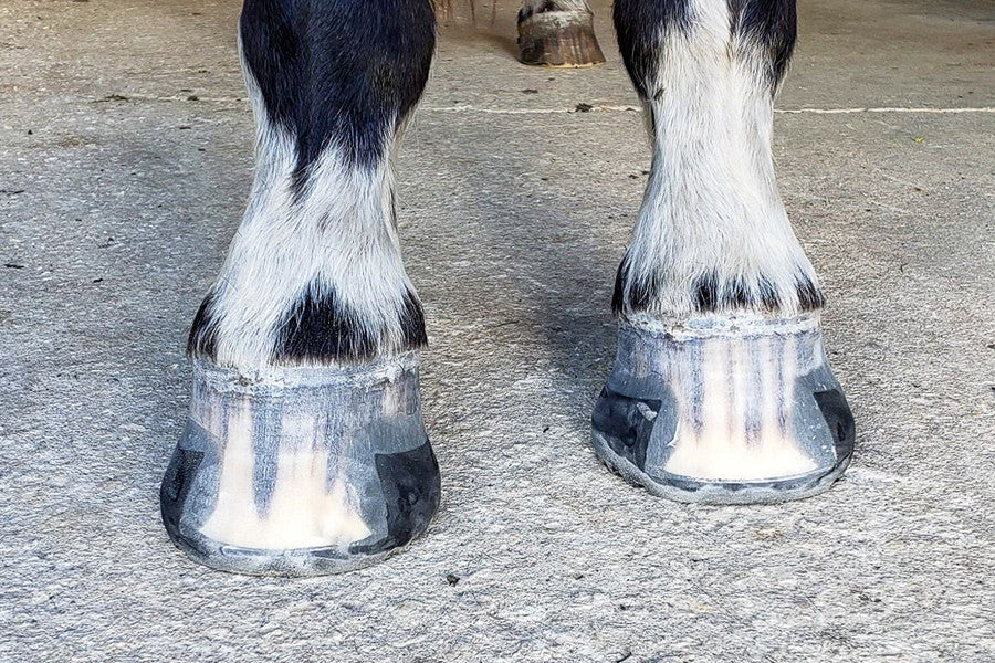 Glushu open toe