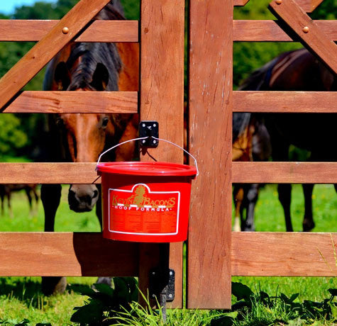 Kevin Bacon's Hoof Formula