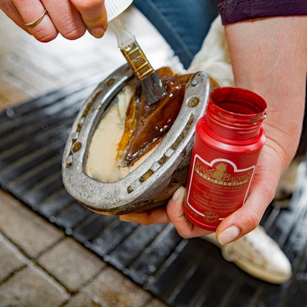 Kevin Bacons Hoof Solution being applied