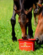 Kevin Bacon's Hoof Formula