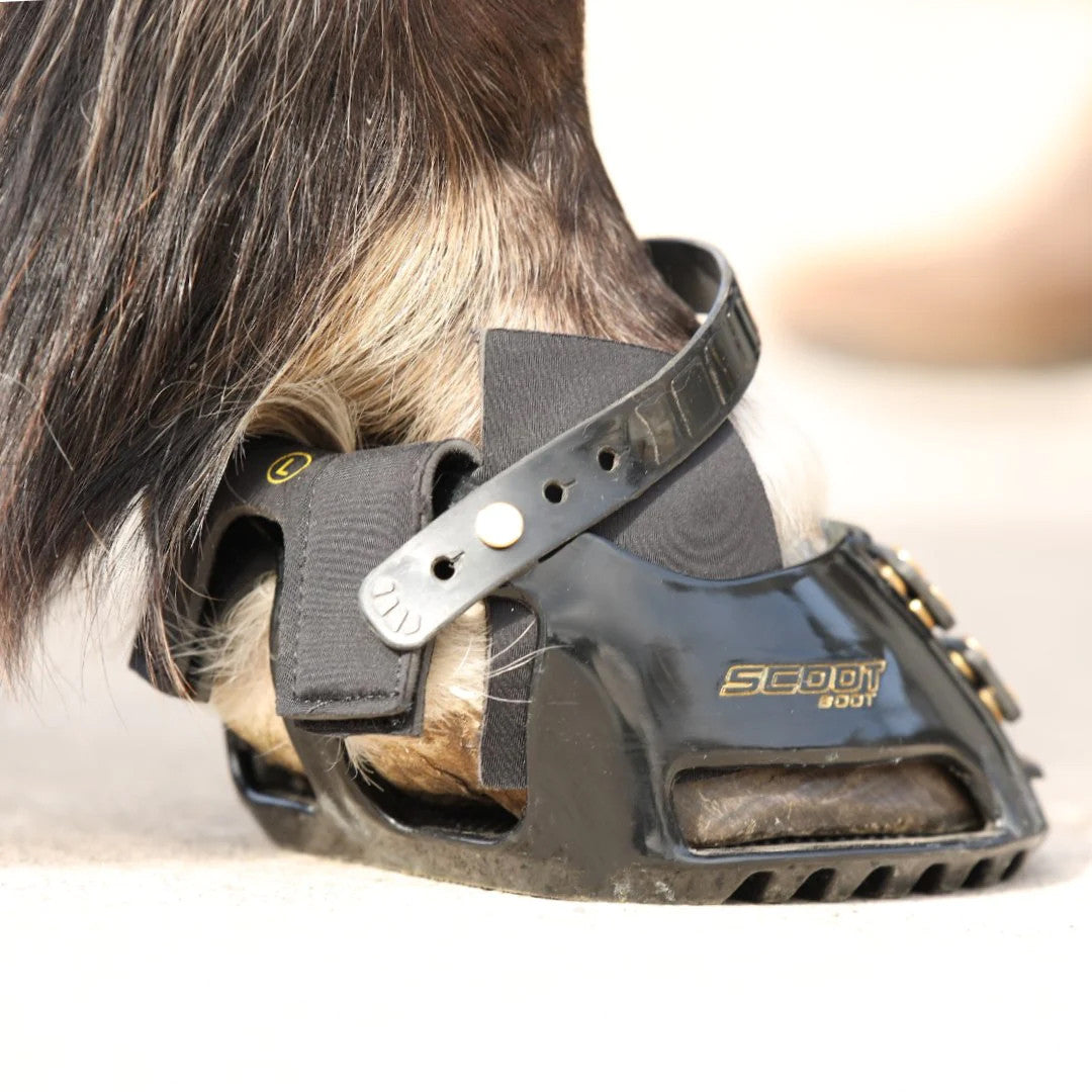 Hybrid gaiters boot on