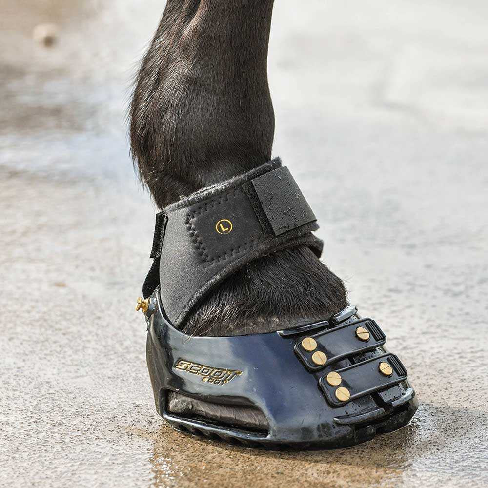 Scoot Boot Multi Purpose Gaiters