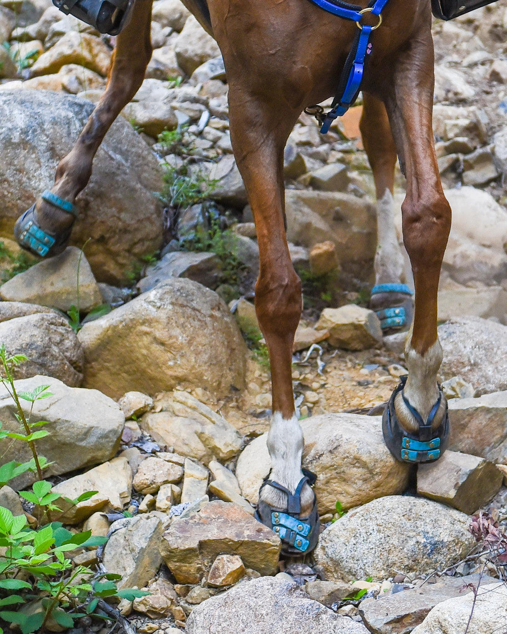 Scoot Boots in action