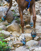 Scoot Boots in action