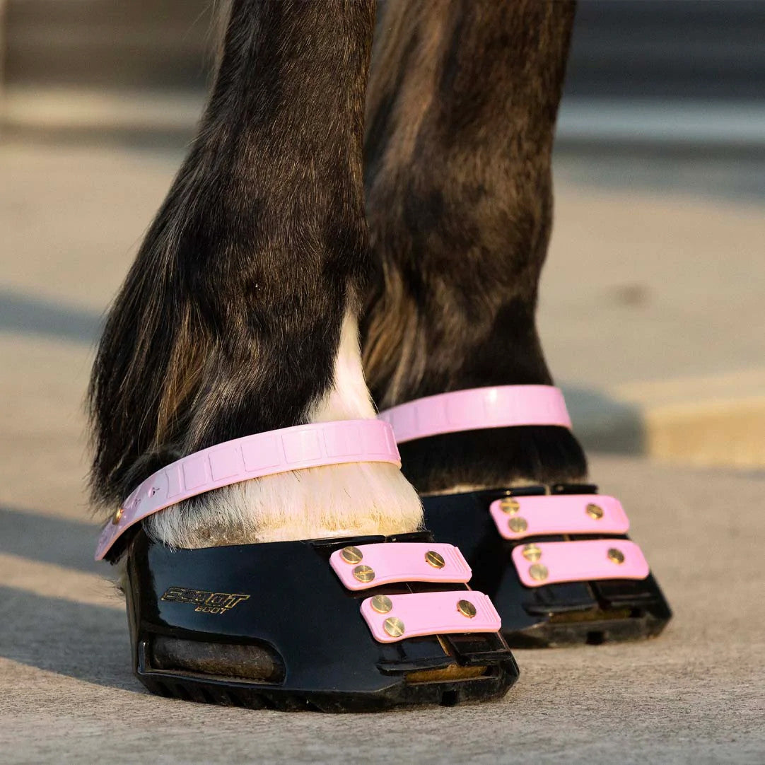 Scoot Boot Front Strap in blossom