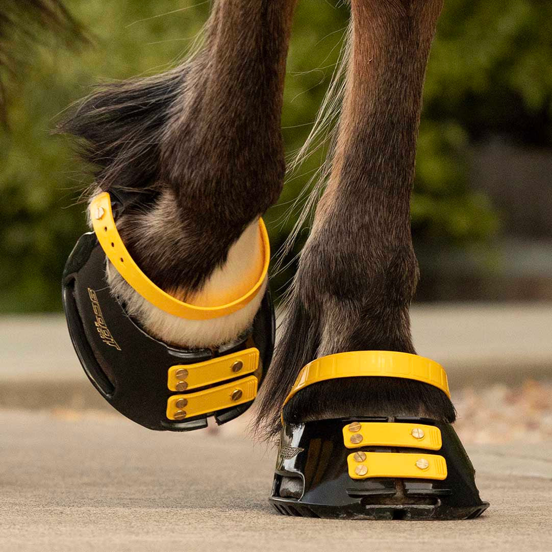 Scoot Boot Front Strap in marigold