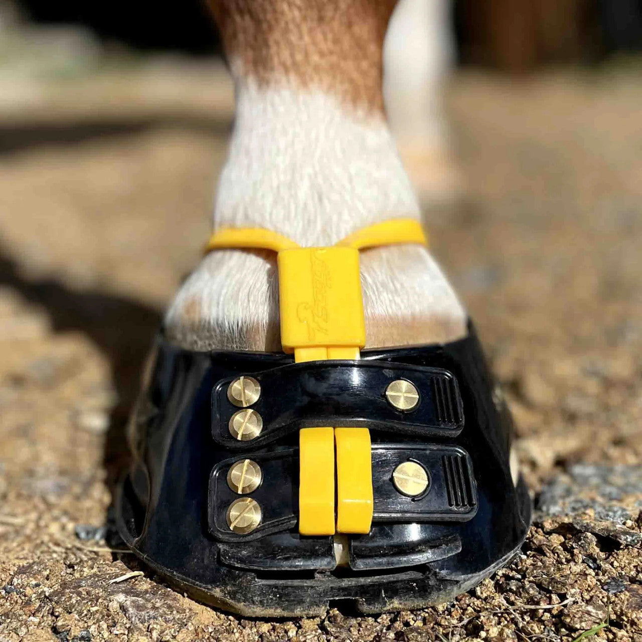 Scoot Boot Mud Straps Marigold